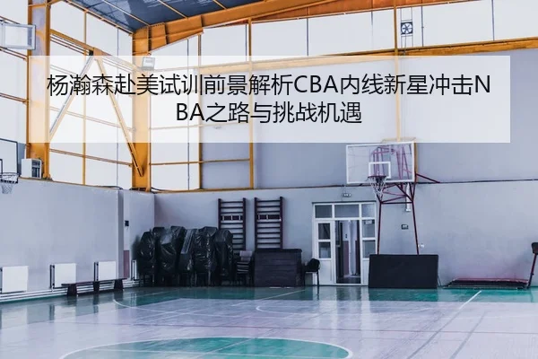 杨瀚森赴美试训前景解析CBA内线新星冲击NBA之路与挑战机遇（NG sports）